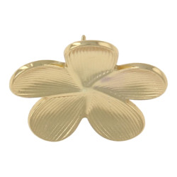 Oorbellen stainless steel...