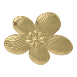 Oorbellen stainless steel...