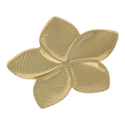 Oorbellen stainless steel...