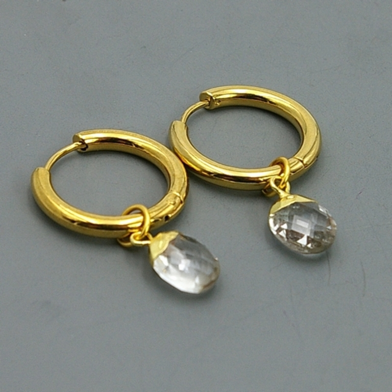 Oorbellen creolen stainless steel met crystal druppel hanger