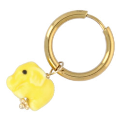 Oorbellen creolen met...