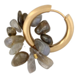 Oorbellen creolen met chips...