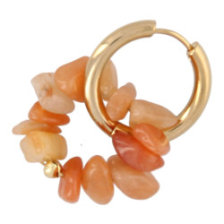 Oorbellen creolen met chips...