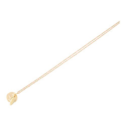 Ketting kort schakel met...