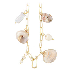 Ketting schakel metaal met...